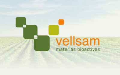 Vellsam