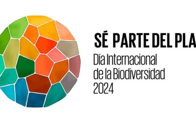 Día Mundial de la Diversidad Biológica 2024