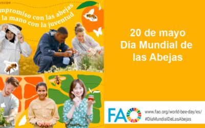 Día Mundial de las Abejas 2024