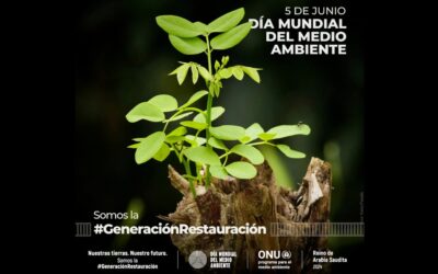 Día Mundial del Medio Ambiente 2024