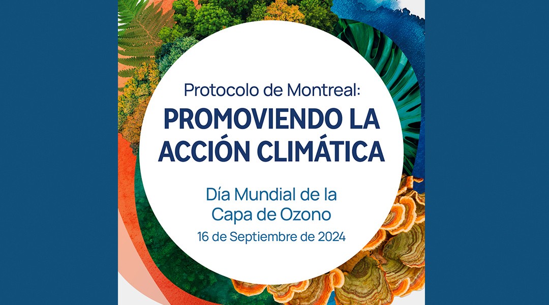 Promoviendo la acción climática