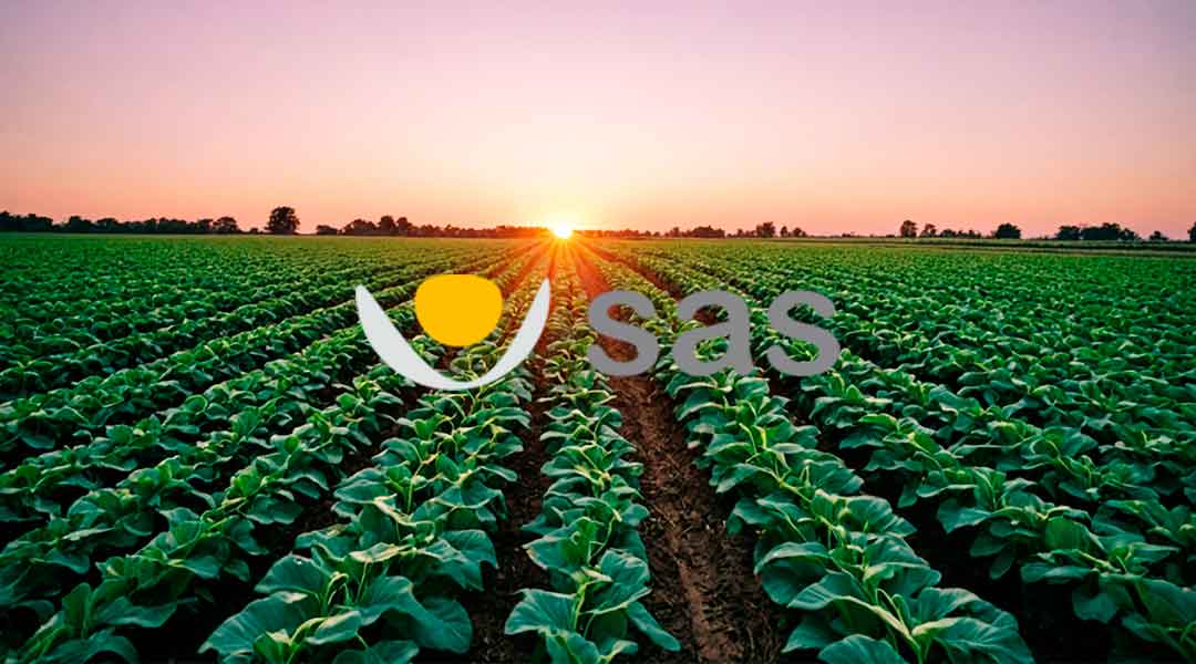 Cultivo hortalizas puesta de sol logo SAS