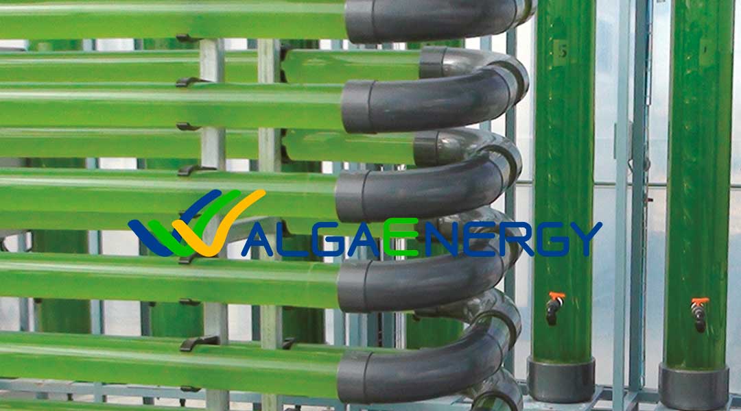 Produccion algas logo Algaenergy