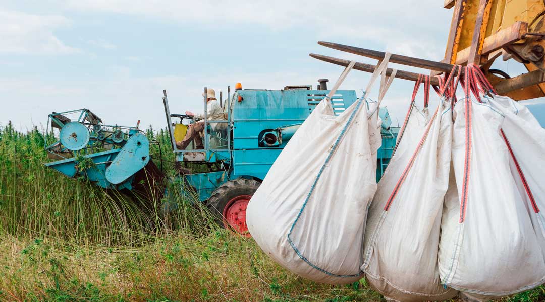 Gestión de residuos agrícolas en campos