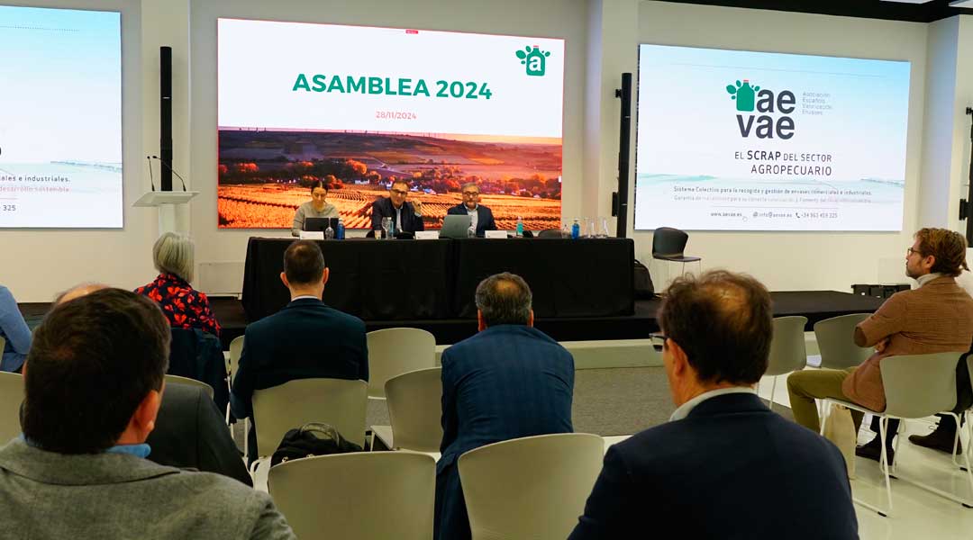 Asamblea General AEVAE 2024