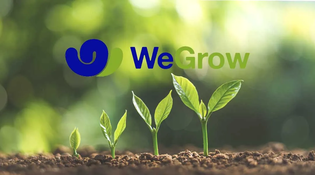 Evolución crecimiento plantas con logo Wegrow