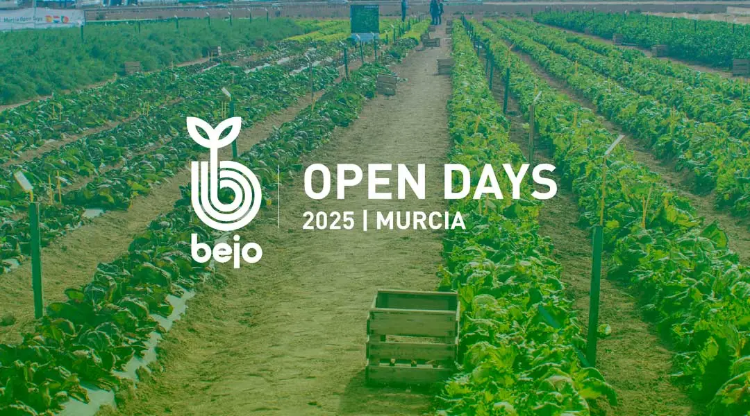 Bejo Open Days de Murcia 2025