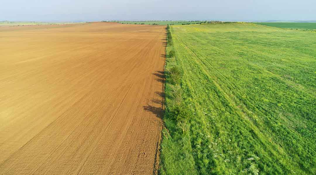 Suelo cultivado y prado verde